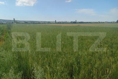 Teren extravilan, 2427 mp, Horodnic de Sus - 1