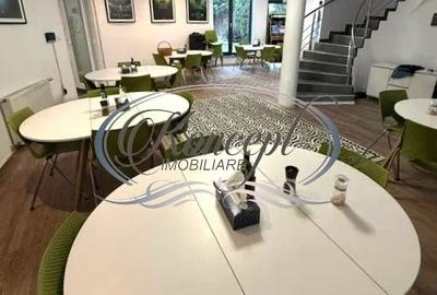 Spatiu de birouri in vila, cartierul Europa - 11