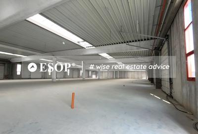 Hale industriale, parc modern, Rudeni, Chitila, Ilfov- ID 15462 Hale industriale, parc modern, Rudeni, Chitila, Ilfov- ID 15462 - 27