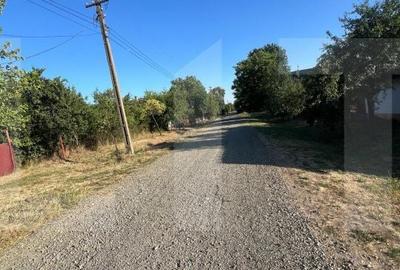 Casă cu 4 camere cu Teren 3000 Mp în Central - 1