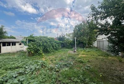 Casa -magazin Golesti - 8