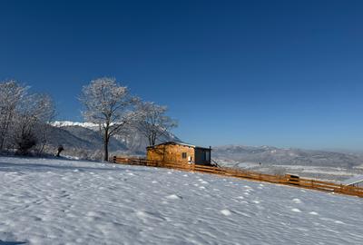 Teren intravilan loturi intre 500 si 1000 m la 5 km de Moieciu - 10
