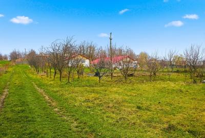 Casa / Vila cu 6 camere de vanzare I Podul Iloaiei - 19