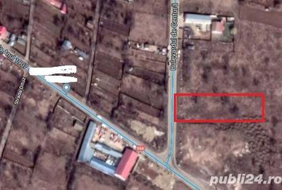 Inchiriez teren INTRAVILAN in Calafat, Dolj - zona nucilor, strada bvd. de centura - 4