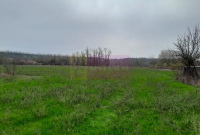 Casă cu 3 camere în Central - 13