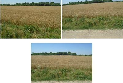 Spațiu comercial, în Domnești - 2