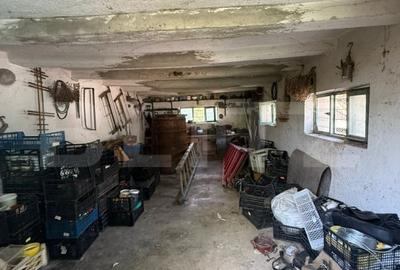 Casa batraneasca, renovabila, Comuna Danesti, Sat Vacarea, 2570 mp, front 25 ml - 13