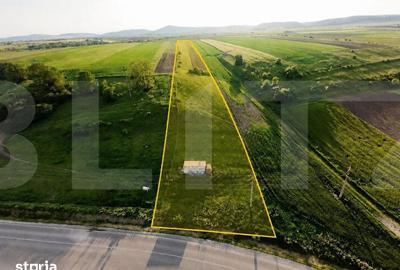 Teren de 9000 mp, în Ilieni - 1