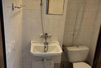 Spatiu comercial de inchiriat - 7