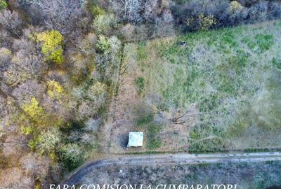 PADURE LANGA ORAS, ACCES BUN, IDEALA PENTRU ACTIVITATI DE AGREMENT - 1