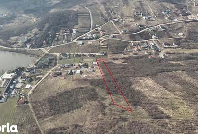 Teren de 7900 mp, în Iorga - 3