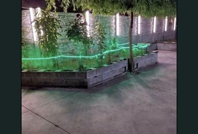 Garsonieră decomandată în Zețarilor - 4