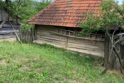 Casă cu 2 camere în Blahnița de Sus - 7