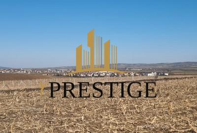 Teren Construcții intravilan de 420 mp, în Șura Mică - 5