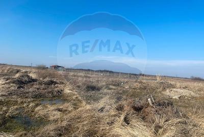 Teren Cihei / 1.632mp/ langa Fundatia Nesu - 7