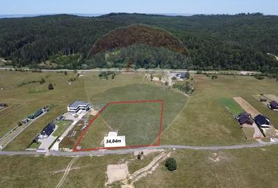 Teren agricol extravilan de 3757 mp, în Păltinoasa - 2