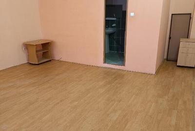 Apartament 1 camera ,et 1, Pietonal - 9