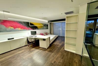 Descopera Luxul: Penthouse 414 mp în Cartierul Francez Herastrau Nordului - 11