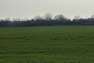 Spațiu comercial, în Piscu - 2