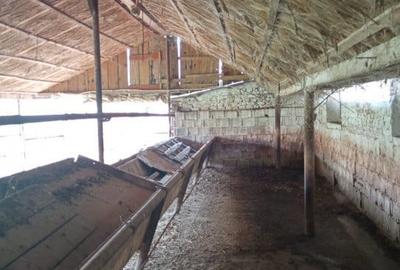 Spațiu comercial, de 317 mp, în Nădlac - 7