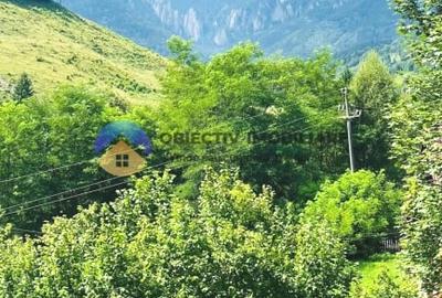 TEREN Izvoru Muntelui, langa orasul BICAZ - 7