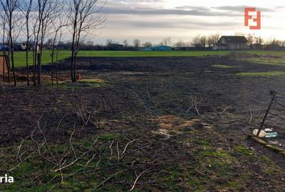 Casă cu 7 camere cu Teren 1458 Mp în Lenauheim - 14