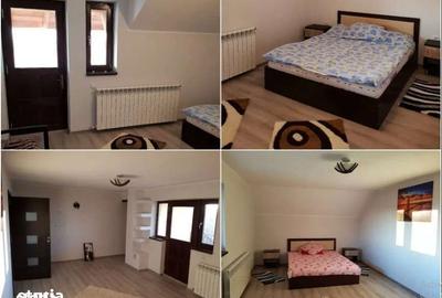 Casă cu 3 camere cu Teren 3000 Mp în Slătioara - 15