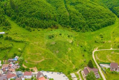 COMISION 0% Teren de 8529 mp/Bunloc/Intravilan - 2