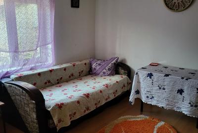 Casă cu 2 camere cu Teren 120 Mp în Chercea - 4