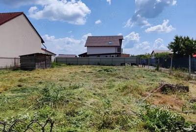 Proprietar Vand teren in Sacalaz in vatra Satului Proprietar Vand teren in Sacalaz in vatra Satului - 5