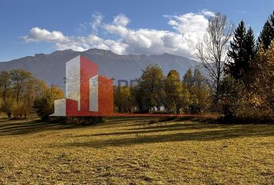 Teren Bran-Tohanita loturi intre 500/1000 mp - 2