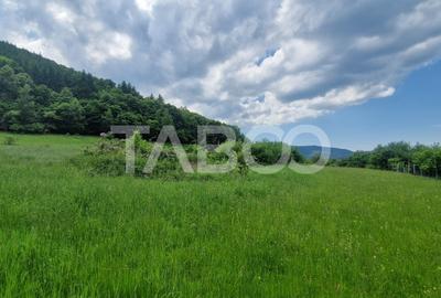 Priveliste deosebita de vanzare de pe teren de 1645mp extravilan Orlat - 6