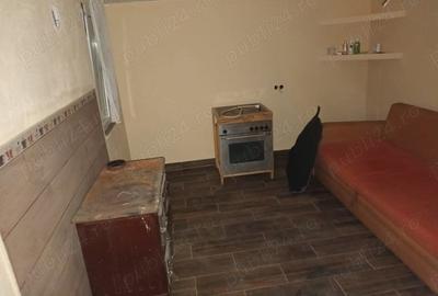 Casă cu 1 camere cu Teren 4000 Mp în Central - 9