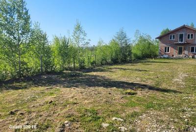 Casă cu 4 camere în Lazaret - 3