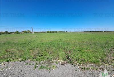 Loturi teren de vanzare Branesti/Vadu Anei - 12