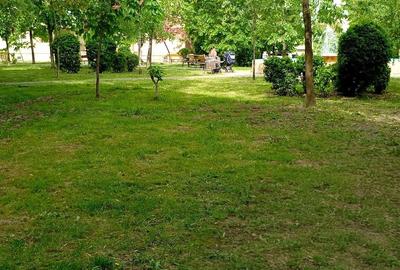Apartament cu 3 camere decomandat în Steaua - 4