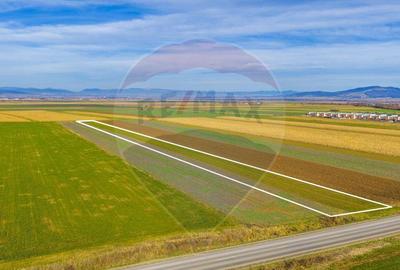 Teren de 10000 mp, în Tărlungeni - 1