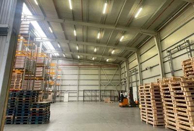 Hala de inchiriat - 6