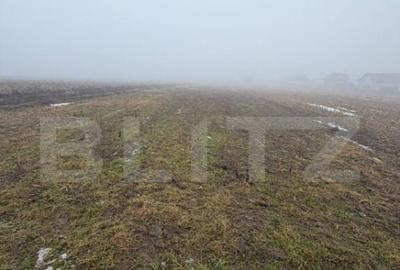 Oportunitate rara | Teren reziden?ial Patrau?i, 10 - 6