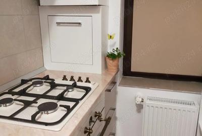 Apartament cu doua camere, mobilat, utilat, loc parcare- bucium Lidl - 9