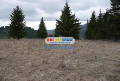 Teren de 12730 mp, în Vatra Dornei - 2