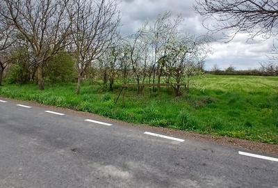 Teren de 6500 mp, în Racovița - 7