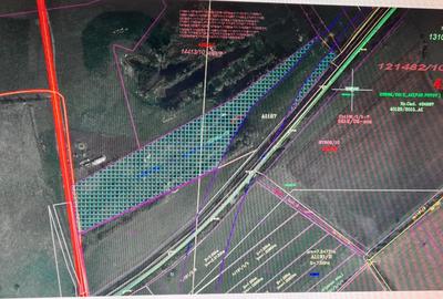 Vindem 32700 mp teren intravilan in PARC INDUSTRIAL FREIDORF-Timisoara - 3