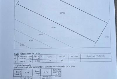 Teren de 2538 mp, în Maglavit - 6