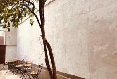 Proprietate cu 3 apartamente, rezidential/ comercial, locuri parcare - 7