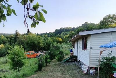 Teren Construcții intravilan de 1200 mp, în Alunișu (Băiculești) - 4