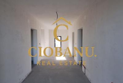 Casa de vanzare zona Damila-Capsunarie - 10