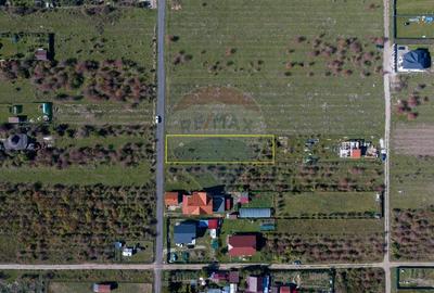 Teren Sanpetru -livada, Strada Nucului, 1296mp, apa, gaz, curent - 5