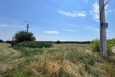 Teren ideal pentru construcție – Snagov, 3750 mp, utilități, zonă case P+1+M - 3