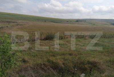 Teren intravilan 30.000 mp cu PUZ, parcelare, deschidere la - 1